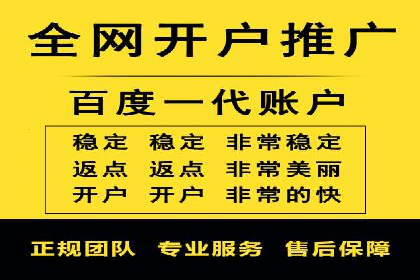 SEM推广优化策略：成功案例解析